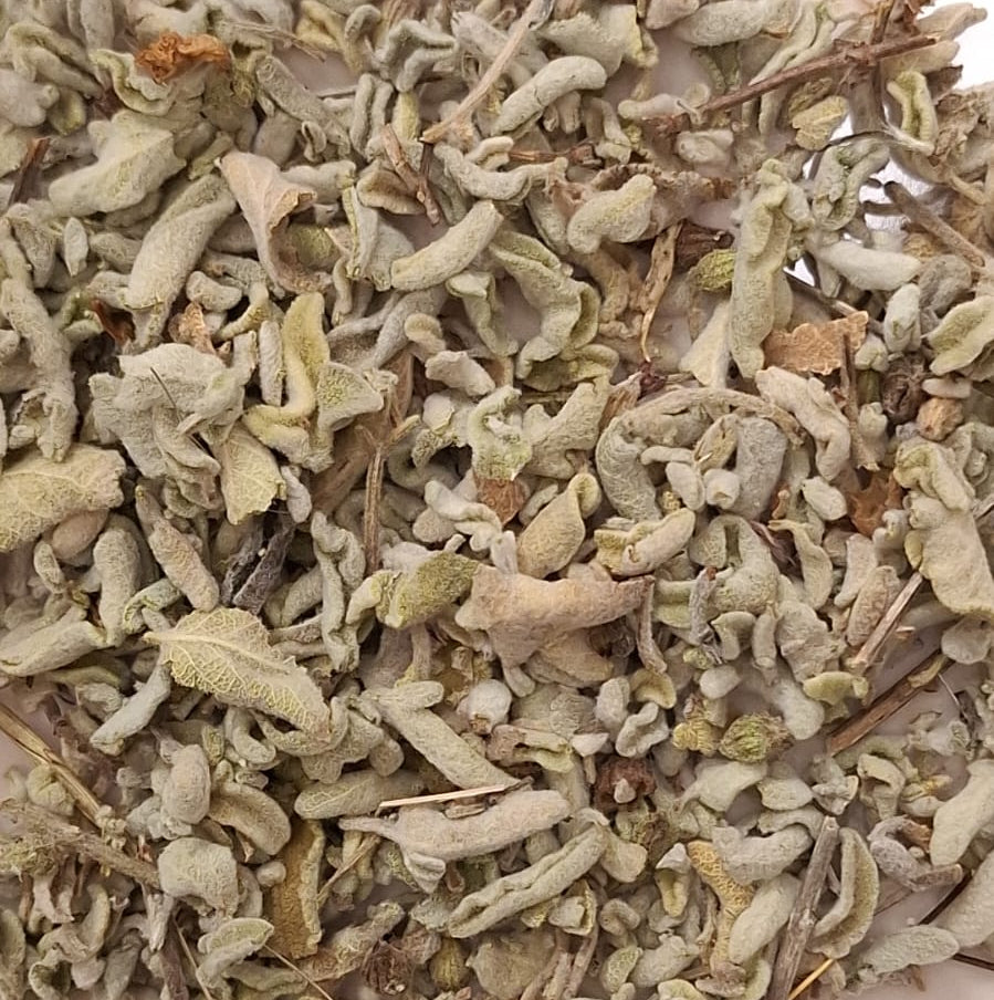 Salbei / salvia officinalis