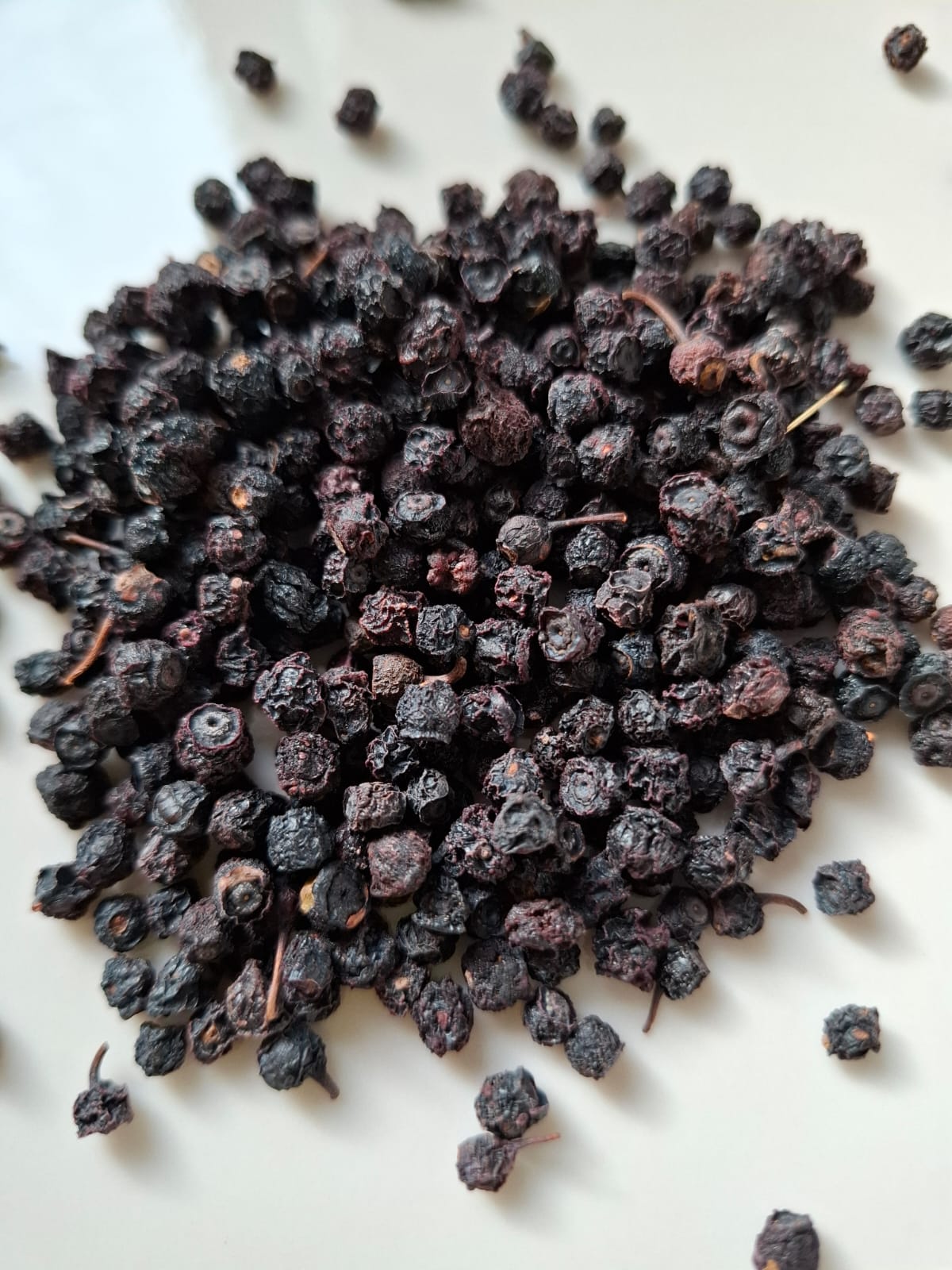 Heidelbeeren bio ganz, wild, gereinigt / myrtilli fructus