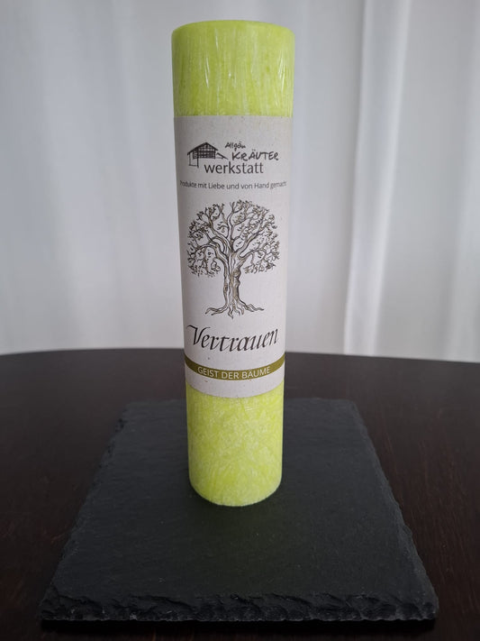 Allgäuer Heilkräuter-Kerze Vertrauen