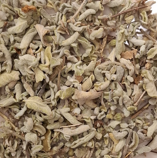 Salbei / salvia officinalis