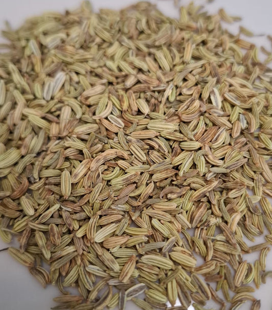 Fenchel grün süss bio ganz / foeniculi dulcis fructis