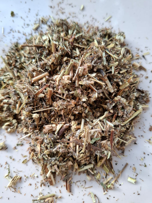 Beifusskraut bio geschnitten / artemisia herba (artemisia vulgare)