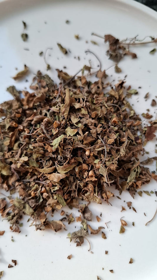 Tulsikraut BIO gerebelt (holy Tulsi) / ocimum sanctum / tenuiflorum