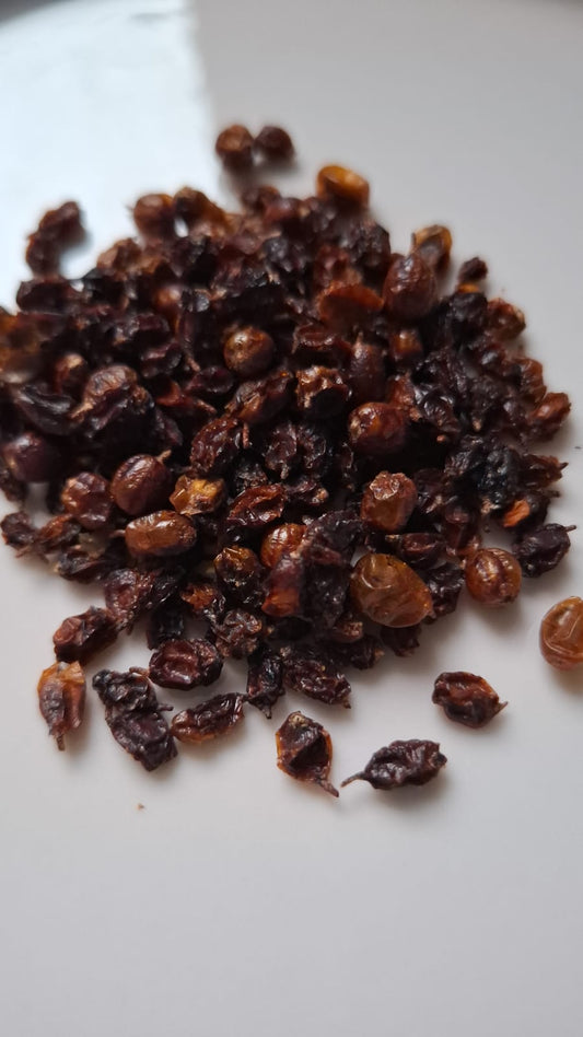 Sanddornbeeren BIO ganz, ohne Zusätze / hippophae rhamnoide